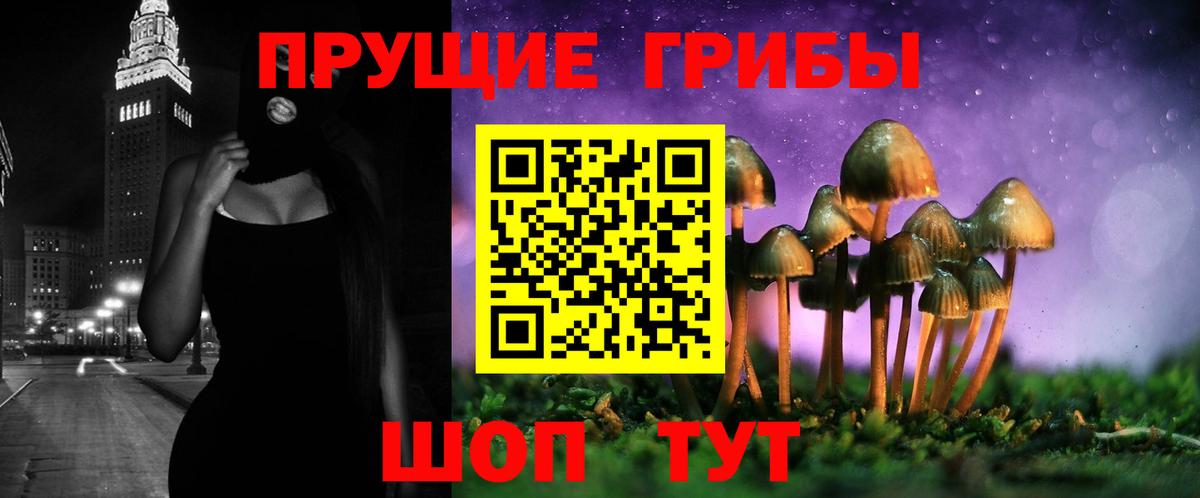 магазин  наркотиков  Вход с VPN  Муром  Галлюциногенные грибы прущие грибы 